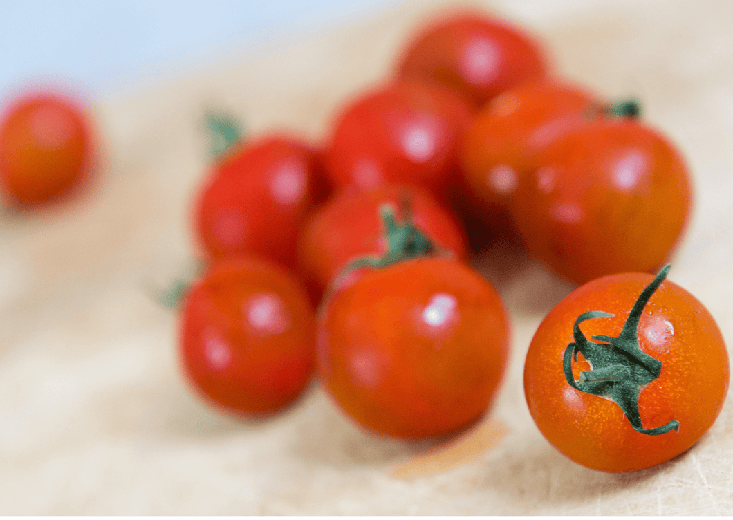 6 plants de Tomates cerises 